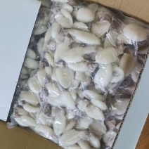 墨鱼仔全规格净重10公斤