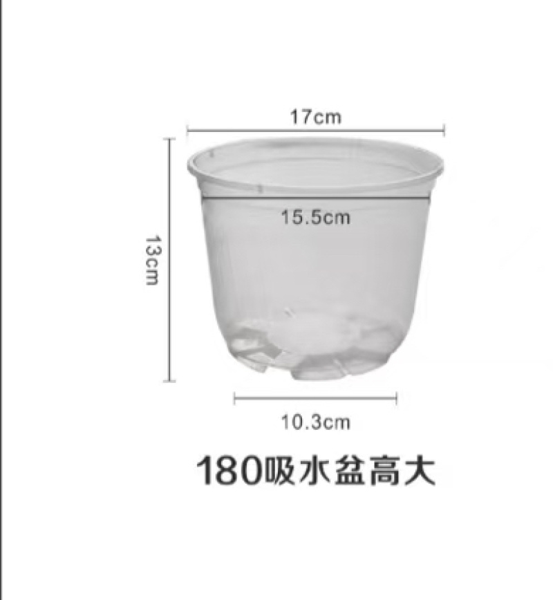 透明吸水盆