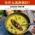 批发淡干海参刺参辽刺参，淡干小海参干货，非即食海参