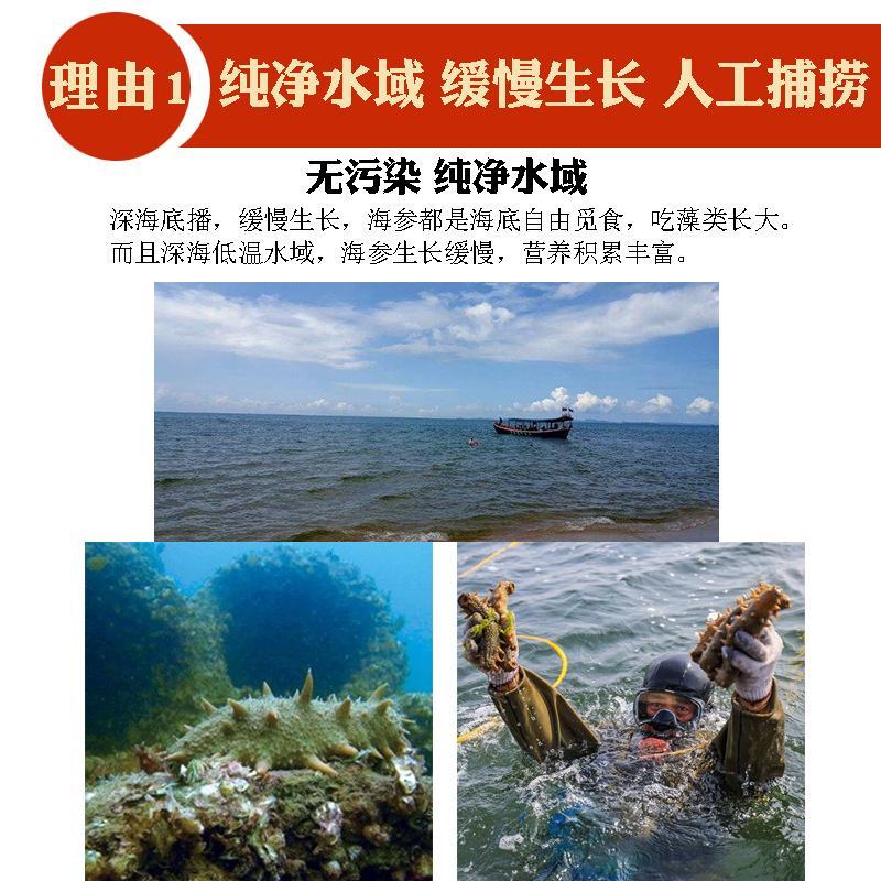 批发淡干海参刺参辽刺参，淡干小海参干货，非即食海参
