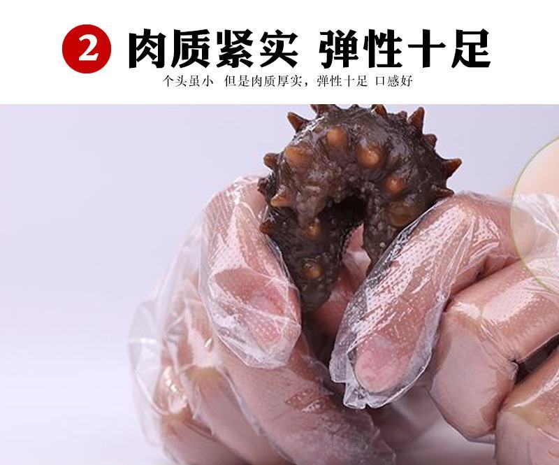 淡干海参干货，辽刺参海参，非即食海参，厂家批发，欢迎来电