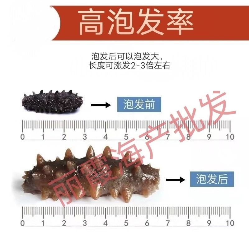 淡干海参干货，辽刺参海参，非即食海参，厂家批发，欢迎来电