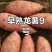 【龙九红薯】开封通许精品龙九红薯大量上市现挖现发欢迎采购