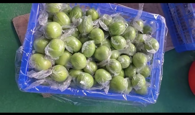 大量有货台湾金桃，1.5两带1.4两起