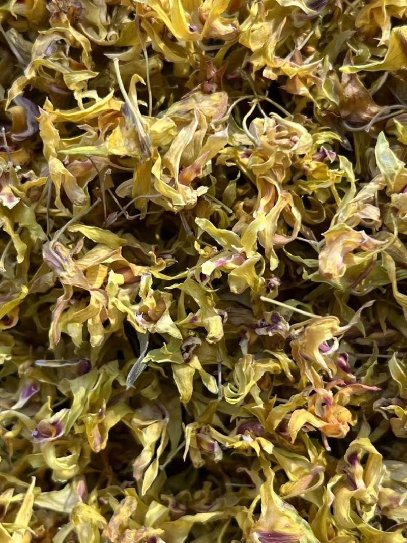 云南西双版纳铁皮石斛鲜花自产自销一手货源顺丰包邮