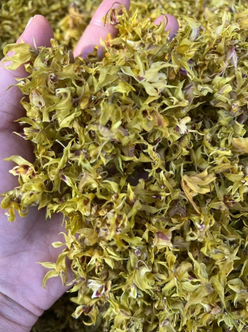 云南西双版纳铁皮石斛鲜花自产自销一手货源顺丰包邮