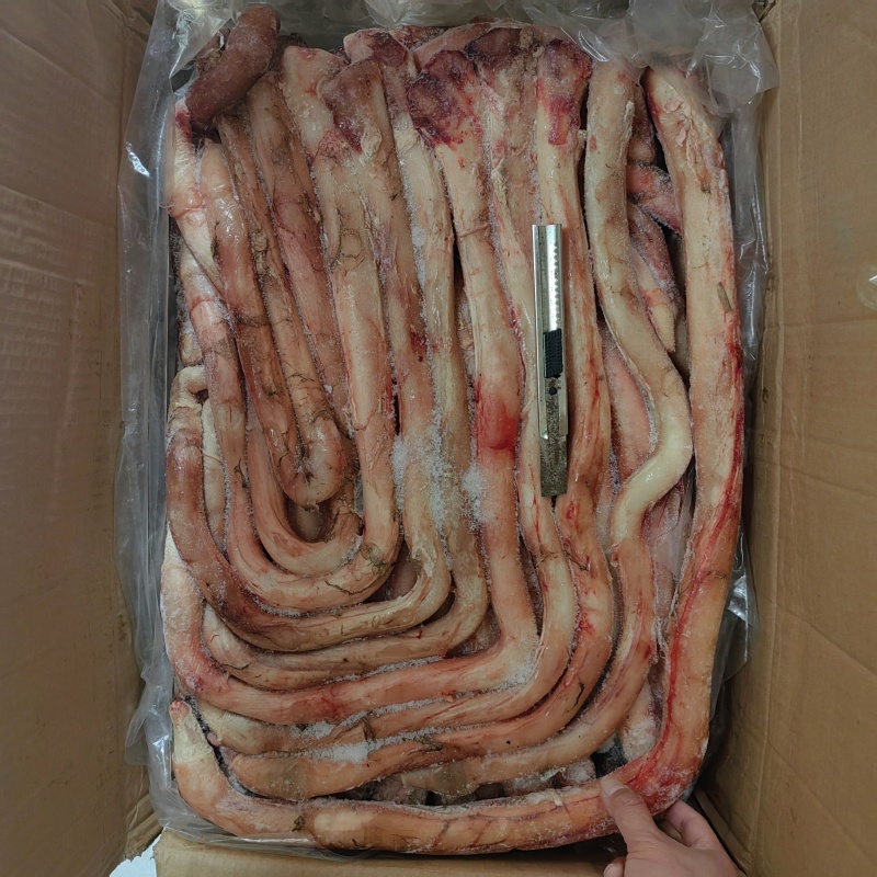 新鲜速冻新鲜牛鞭纯干去鞭根10斤装精修商用牛鞭精品