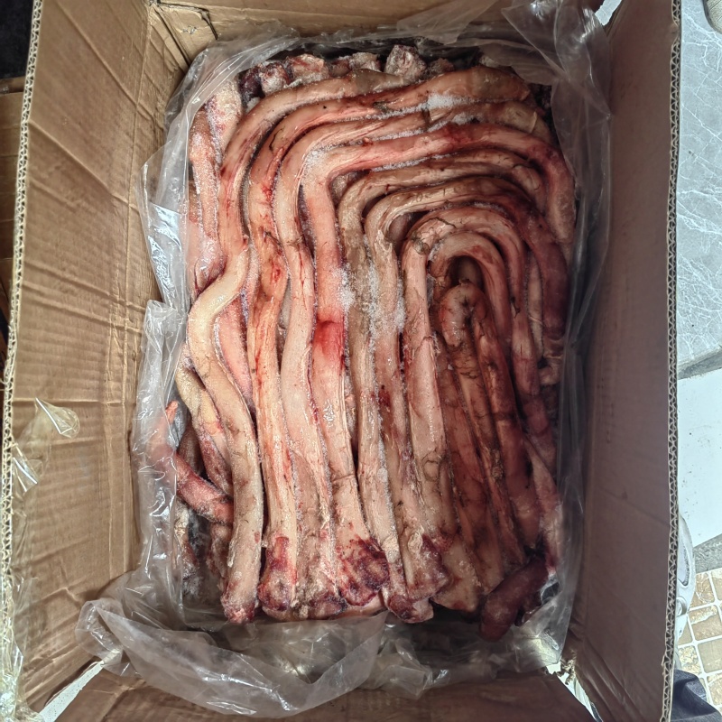 新鲜速冻新鲜牛鞭纯干去鞭根10斤装精修商用牛鞭精品