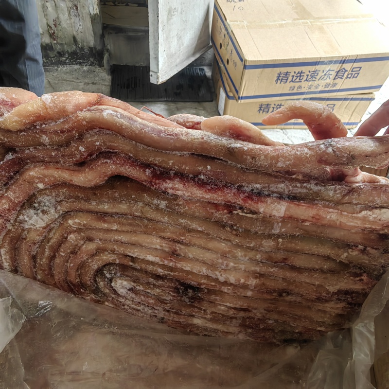 新鲜速冻新鲜牛鞭纯干去鞭根10斤装精修商用牛鞭精品
