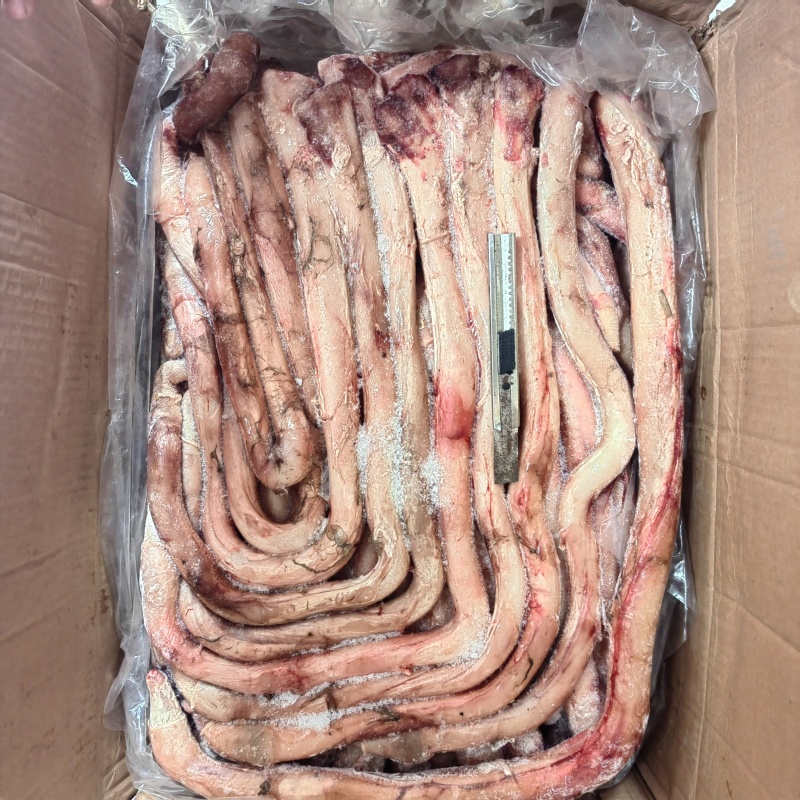 新鲜速冻新鲜牛鞭纯干去鞭根10斤装精修商用牛鞭精品