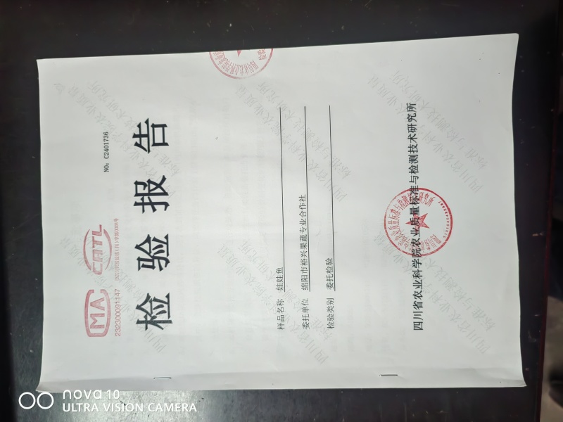 生态养殖，吃鲜活小鱼，喝深井水的富硒娃娃鱼，基地直发