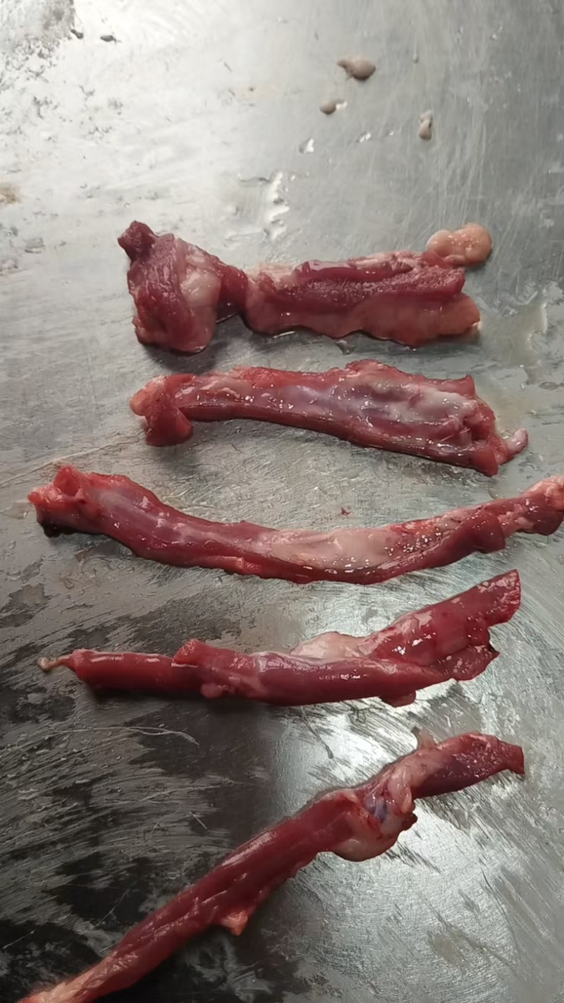 羊脖肉穿串食材厂家直销量大质优价格优惠一手货源