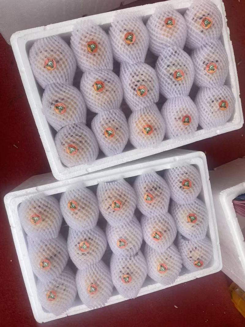 云南人参果产地直发