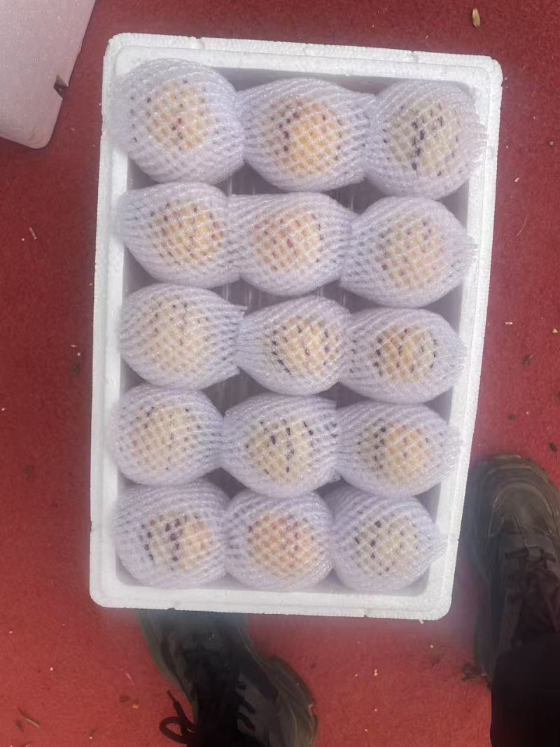 云南人参果产地直发