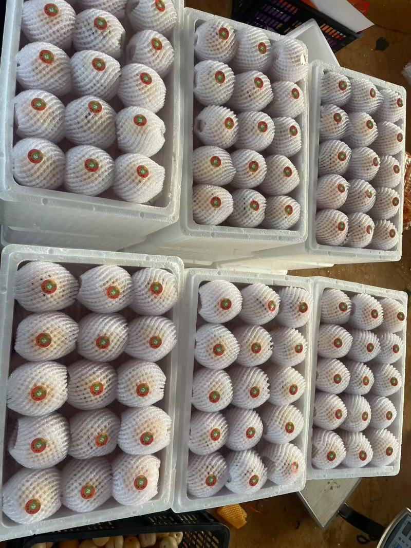 云南人参果产地直发