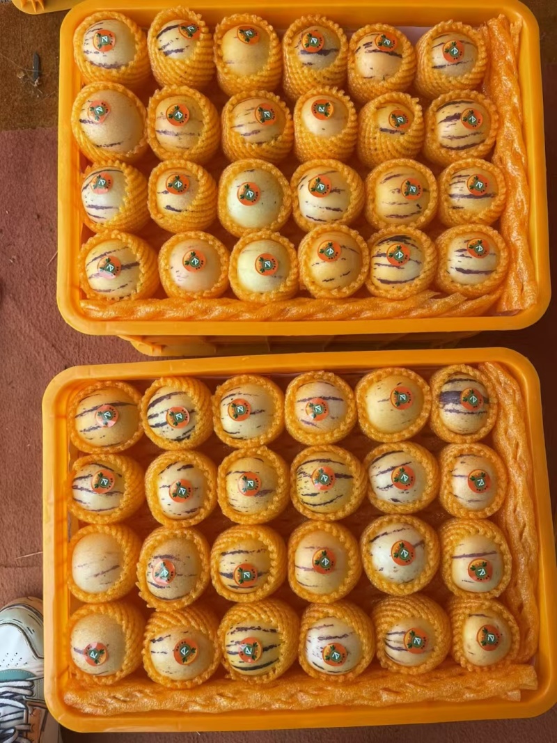 云南人参果产地直发