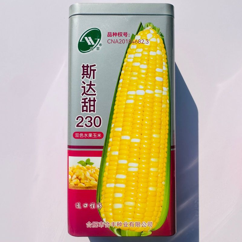 斯达甜230双色水果玉米种子可生吃超甜水果玉米种籽甜玉米