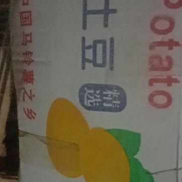 各类土豆种批发