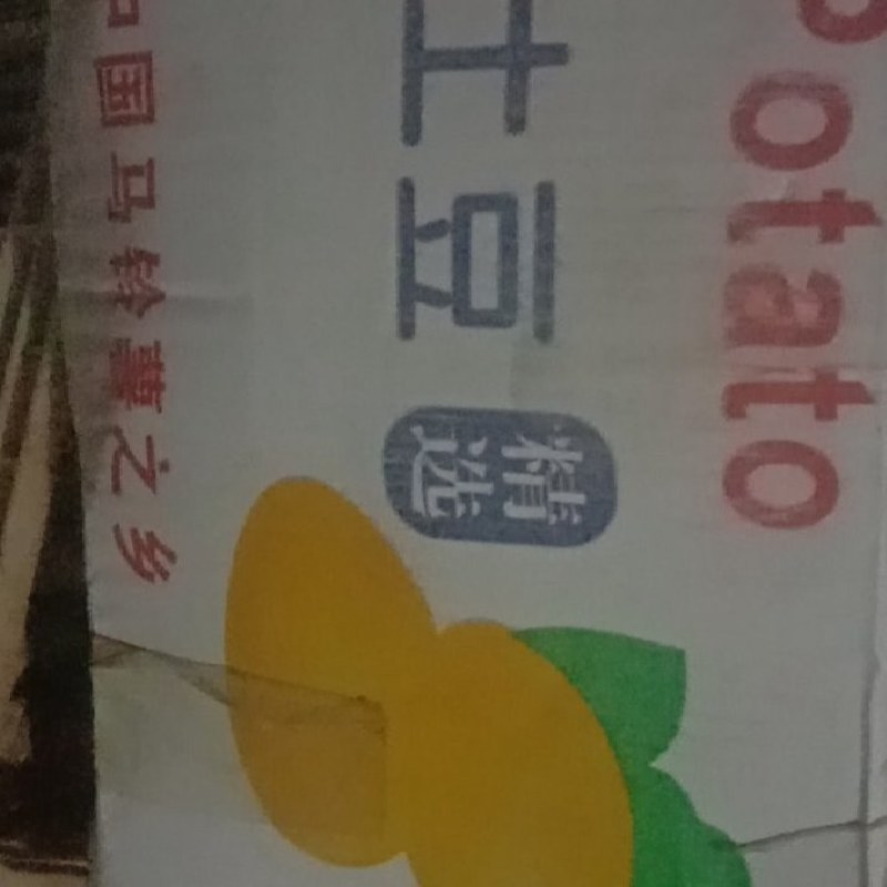 各类土豆种批发