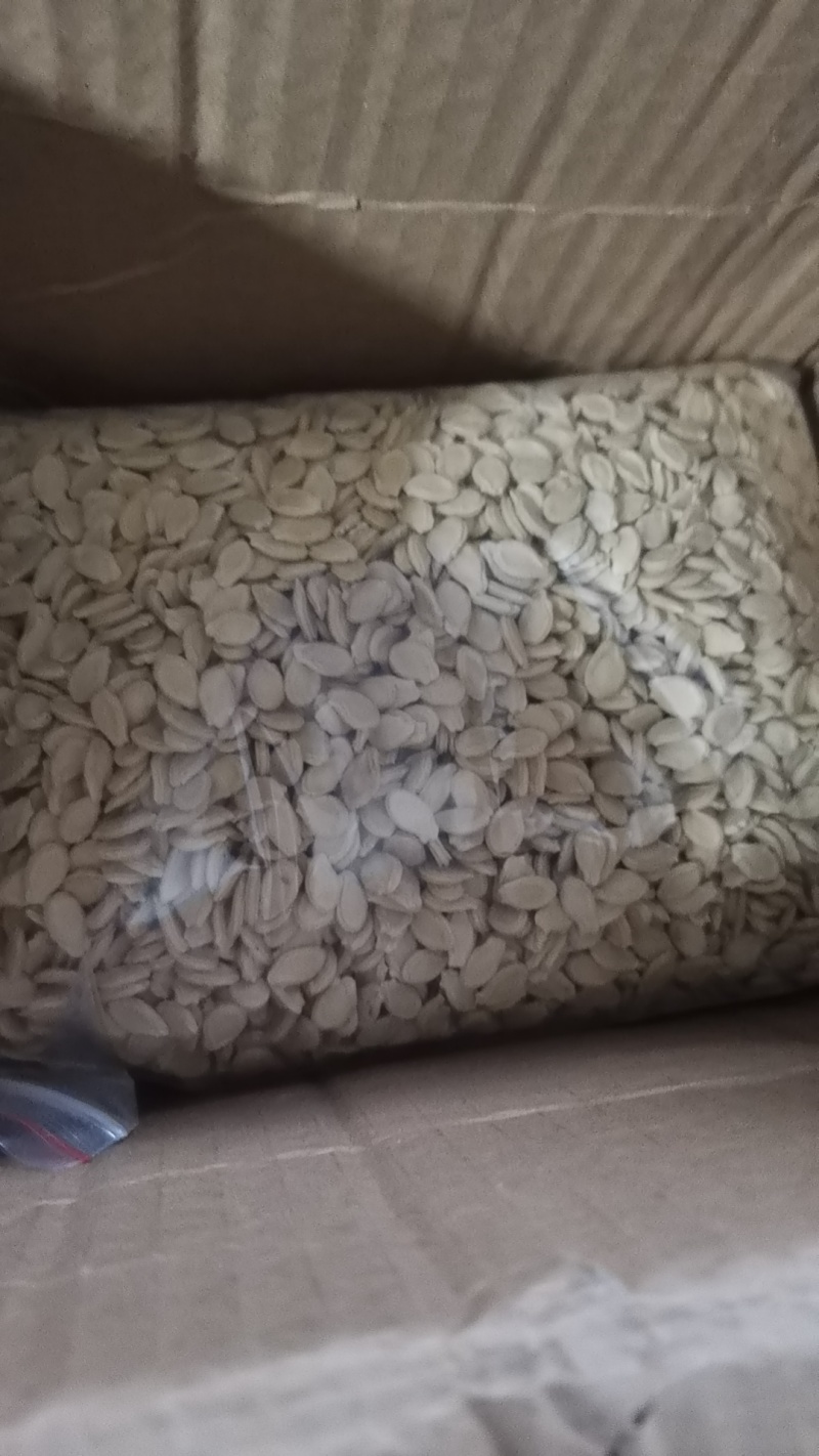 多边子，黑皮冬瓜，铁心品种，铁心冬瓜种子，铁心瓜