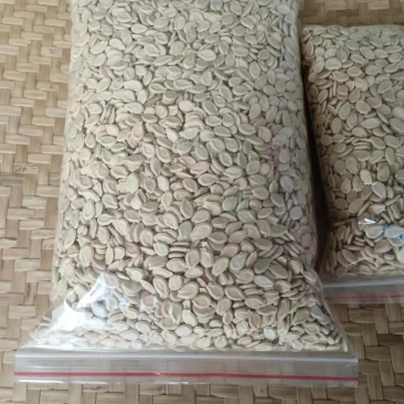 多边子，黑皮冬瓜，铁心品种，铁心冬瓜种子，铁心瓜
