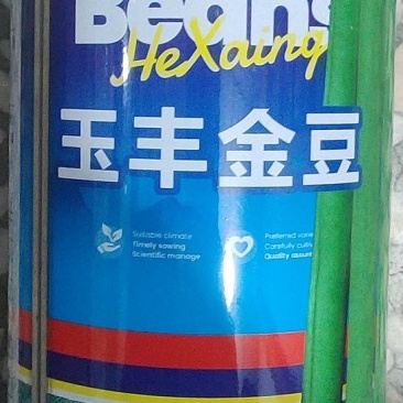 杜绝假货芸豆种子小金豆架豆种子种籽菜籽蔬菜种籽大田豆角种