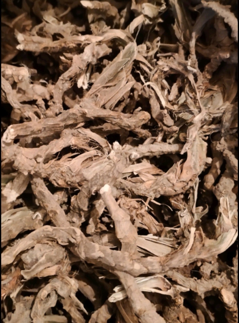 产地直发的石菖蒲规格多样24小时在线选购