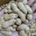 大粒罗汉308花生种子薄壳饱满矮株高产抗病商品性佳