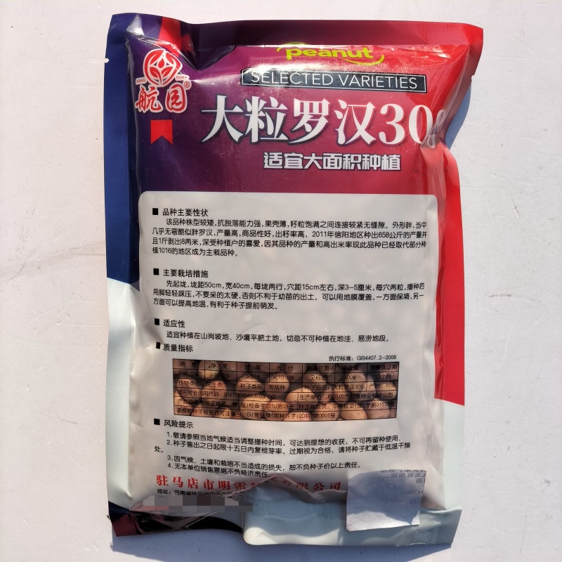 大粒罗汉308花生种子薄壳饱满矮株高产抗病商品性佳
