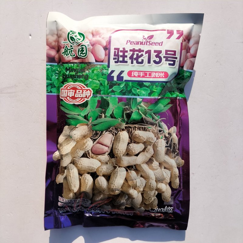 航园驻花13号花生种子纯手工剥米高产耐寒耐旱原装正品