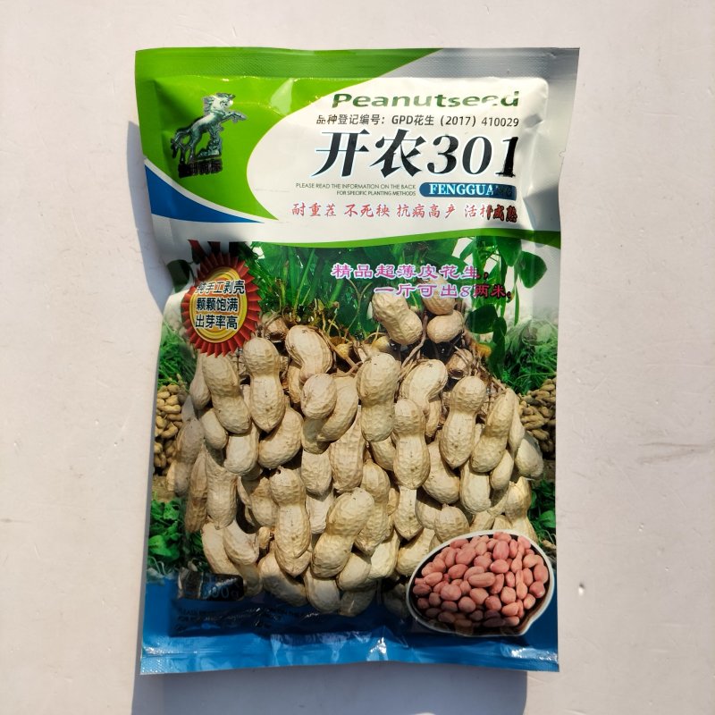 开农301花生种子耐重茬抗病高产活杆成熟油食型花生