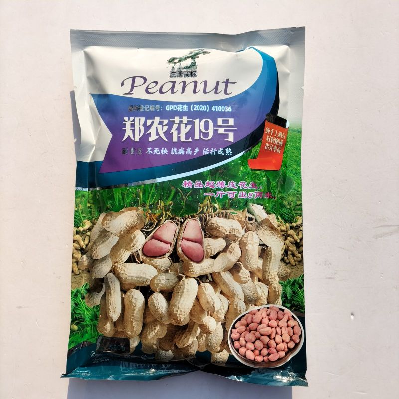 郑农花19号薄皮花生种子耐重茬抗病高产油食两用型花生手工