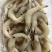 连云港羊毛虾工厂直销