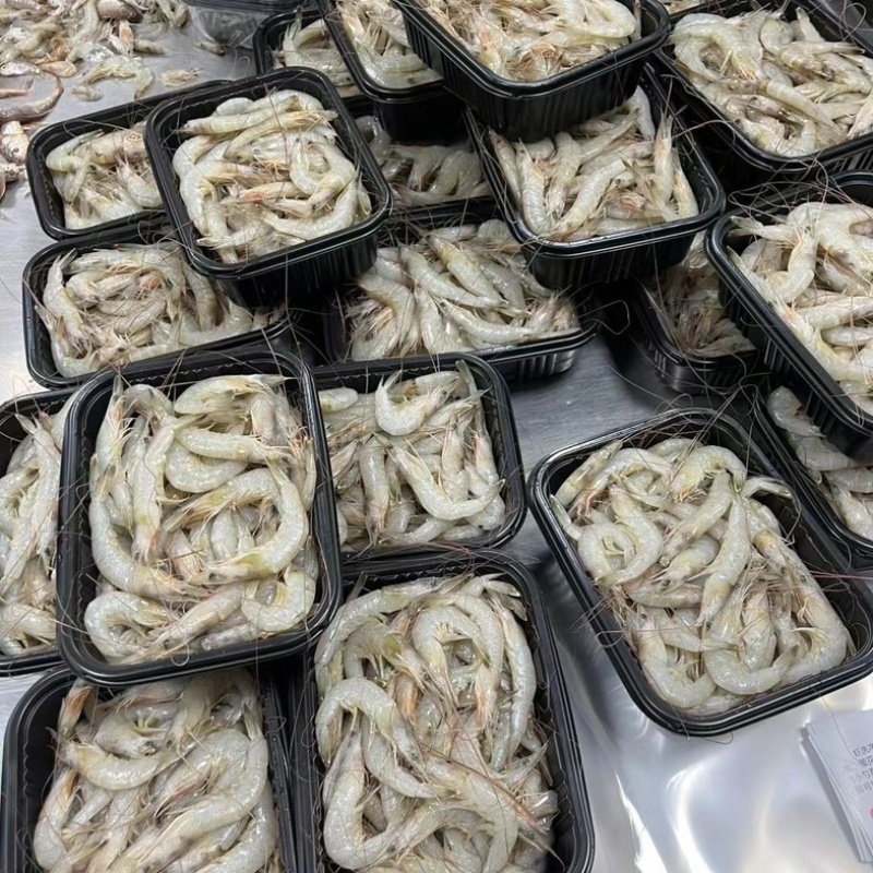 连云港羊毛虾工厂直销