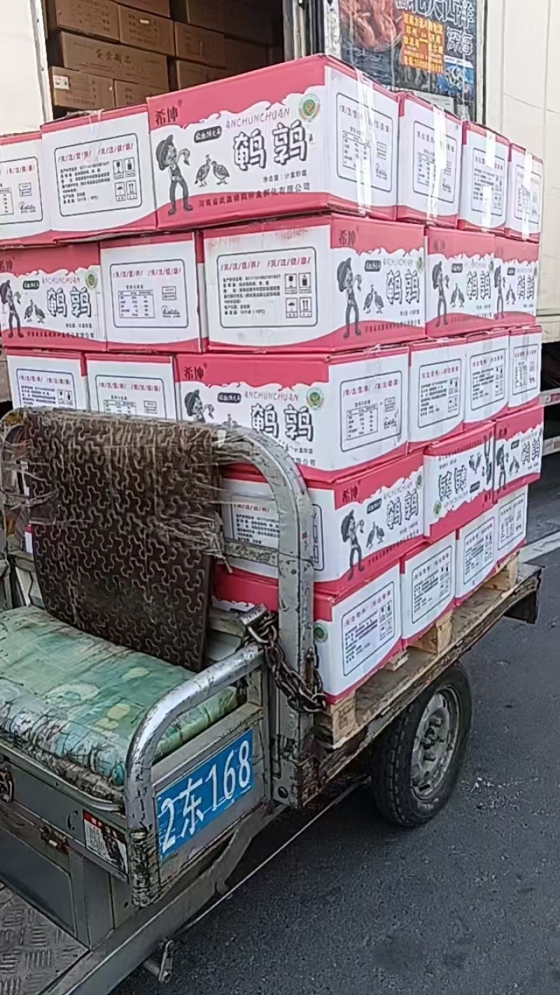 放血鹌鹑厂家直销冷库全国发货
