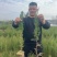 侧柏小苗侧柏容器苗批发价格低各规格各品种有货