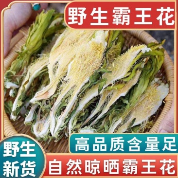 霸王花干货天然无硫农家自产新鲜花七星剑花昙花煲汤材料肇庆