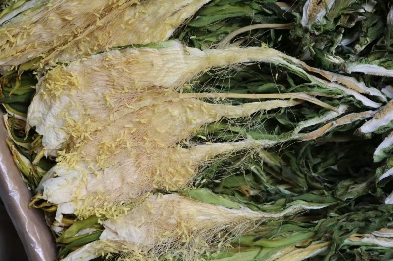 霸王花干货天然无硫农家自产新鲜花七星剑花昙花煲汤材料肇庆