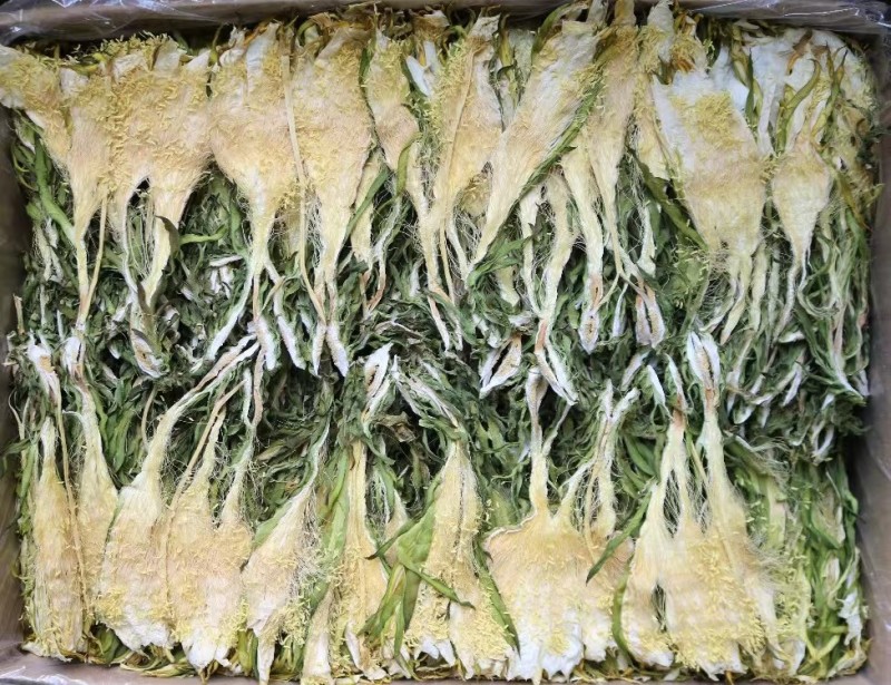 霸王花干货天然无硫农家自产新鲜花七星剑花昙花煲汤材料肇庆