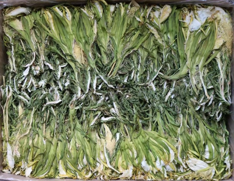 霸王花干货天然无硫农家自产新鲜花七星剑花昙花煲汤材料肇庆