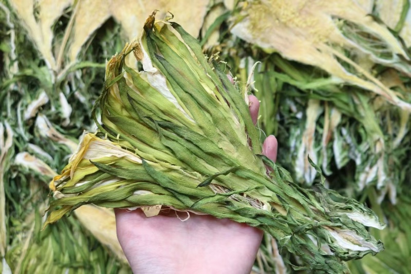 霸王花干货天然无硫农家自产新鲜花七星剑花昙花煲汤材料肇庆