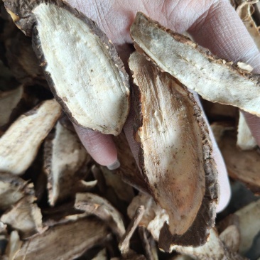 白蔹祥泰药材栈中药材批发零售实物拍摄量多从优欢迎咨询