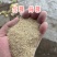 安徽地区优质统糠规格齐全，一手货源