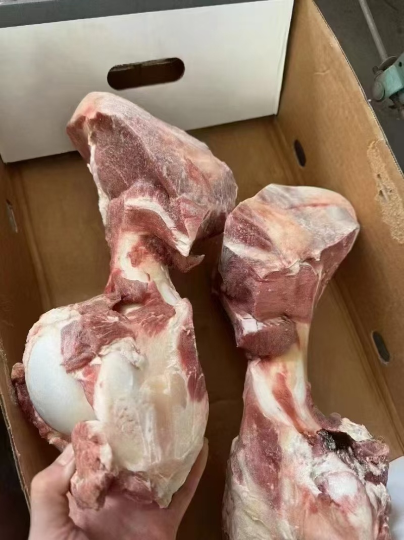 带肉牛棒骨