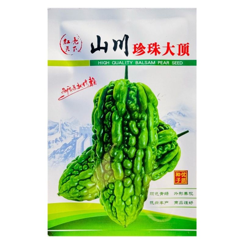 山川珍珠大顶苦瓜种子厚肉翠绿油亮杜阮凉瓜大顶苦瓜种籽耐热