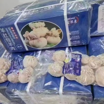 富琪康，羊肚包羊肉，
