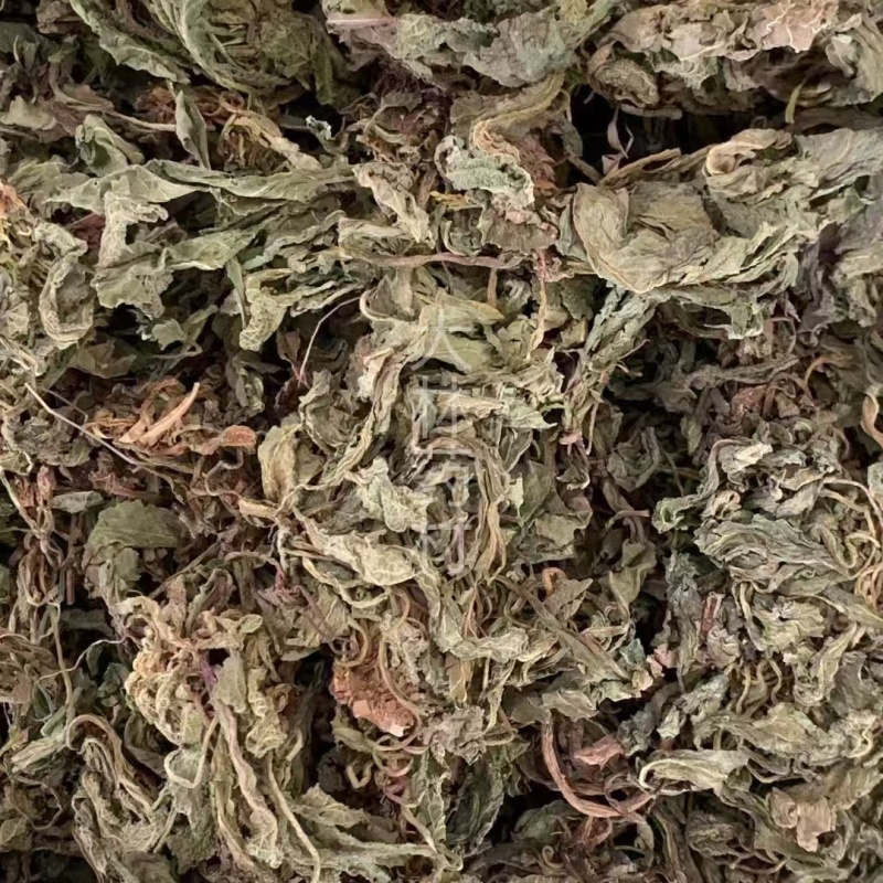 蛤蟆草【包邮】三斤起发货可批量可零售量大从优