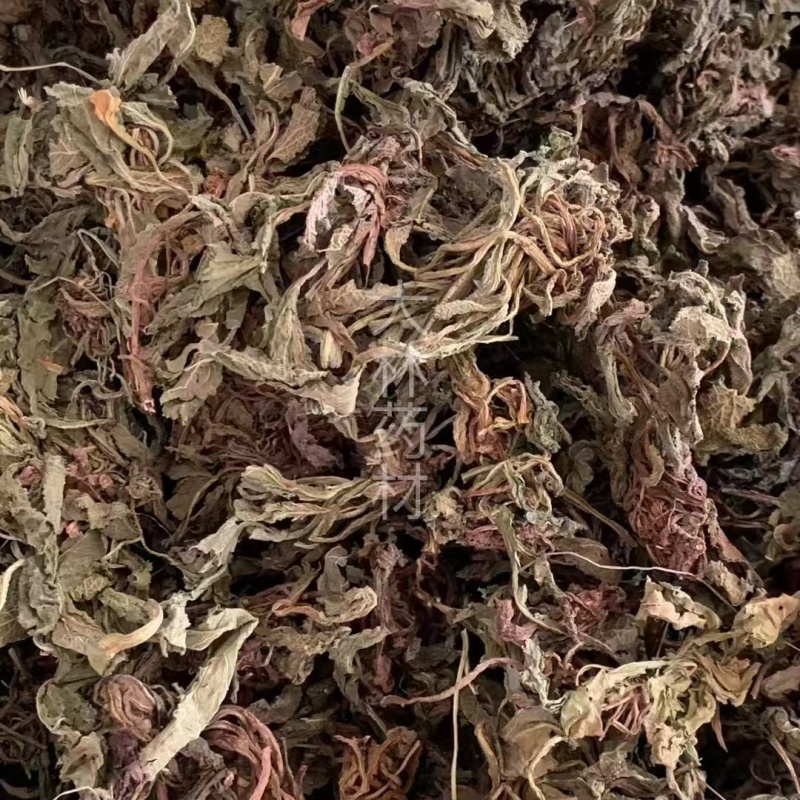 蛤蟆草【包邮】三斤起发货可批量可零售量大从优