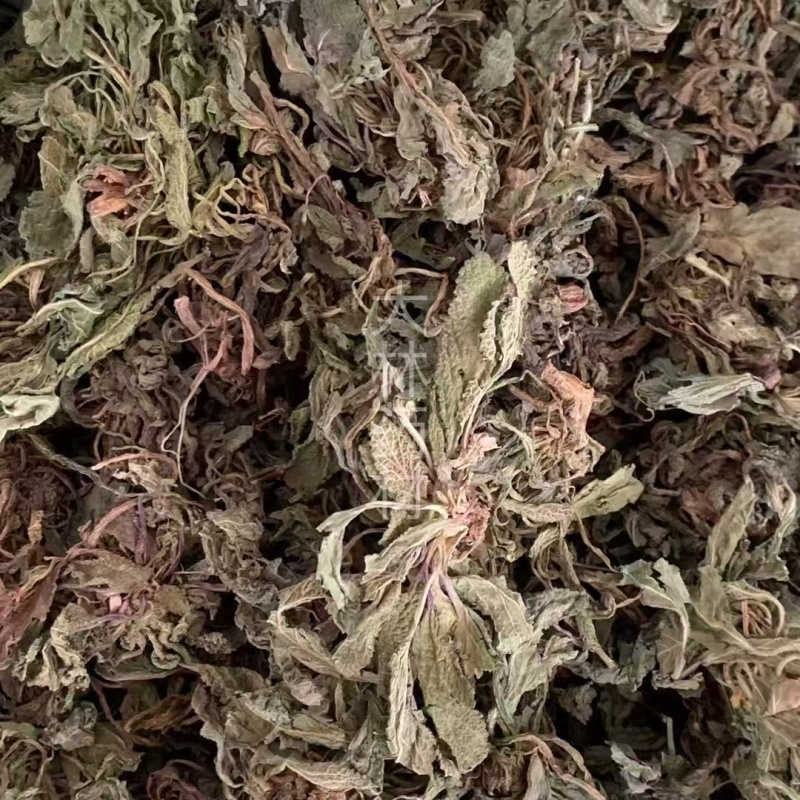 蛤蟆草【包邮】三斤起发货可批量可零售量大从优