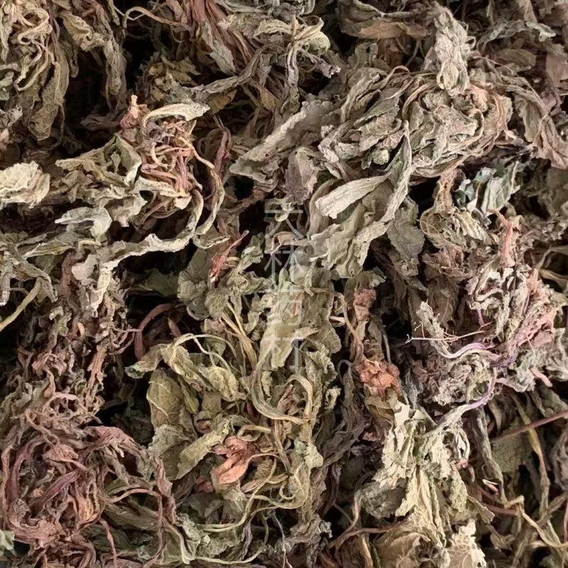蛤蟆草【包邮】三斤起发货可批量可零售量大从优